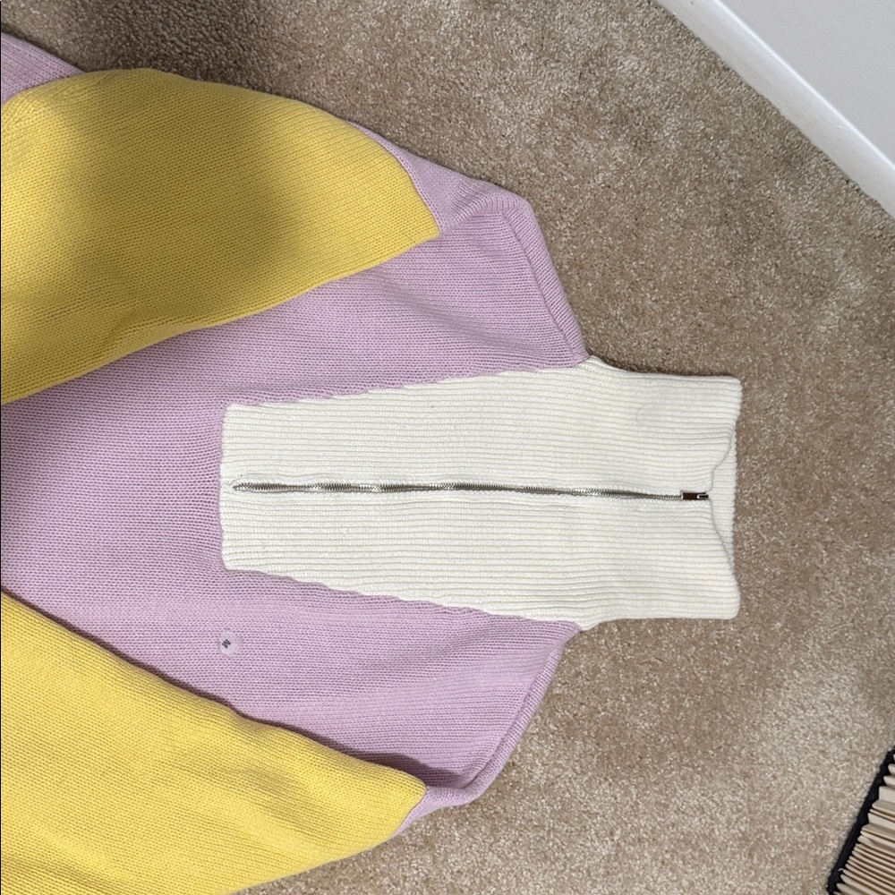 Express Multicolor Turtleneck Sweater